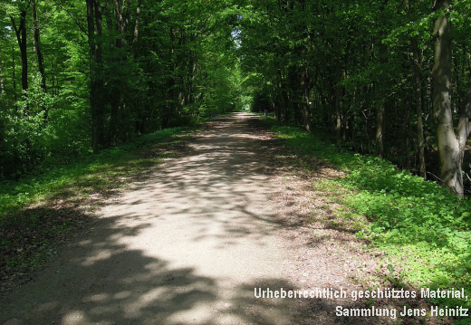 Kaiserbahn breite Trasse 18-Mai-2017